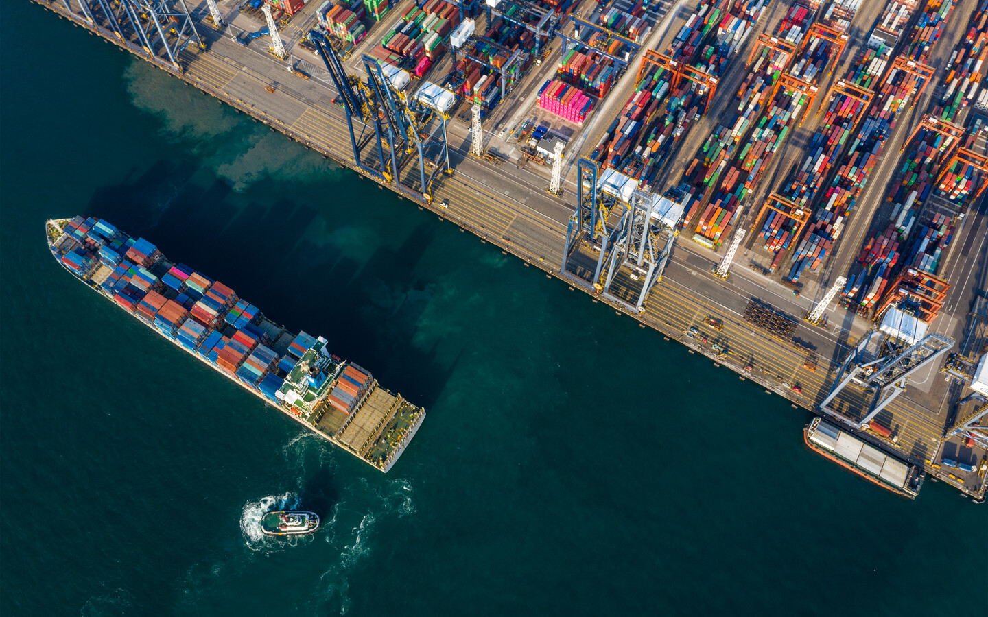 Import- und Exportdienstleistungen